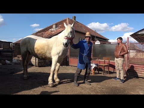 La un pahar de vorba cu Badea Petre si Sebi de la Mediesu Aurit, Satu Mare - 2021 Nou!!!