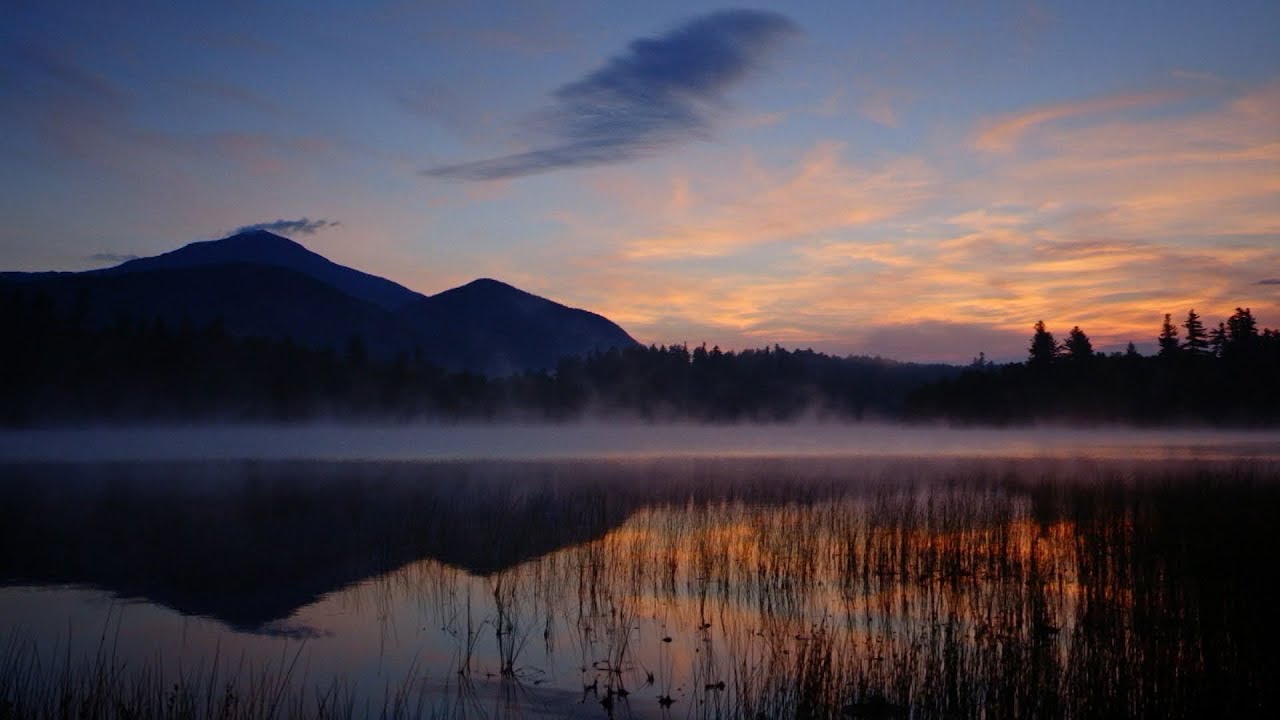 "The 46ers" Interview with the Director