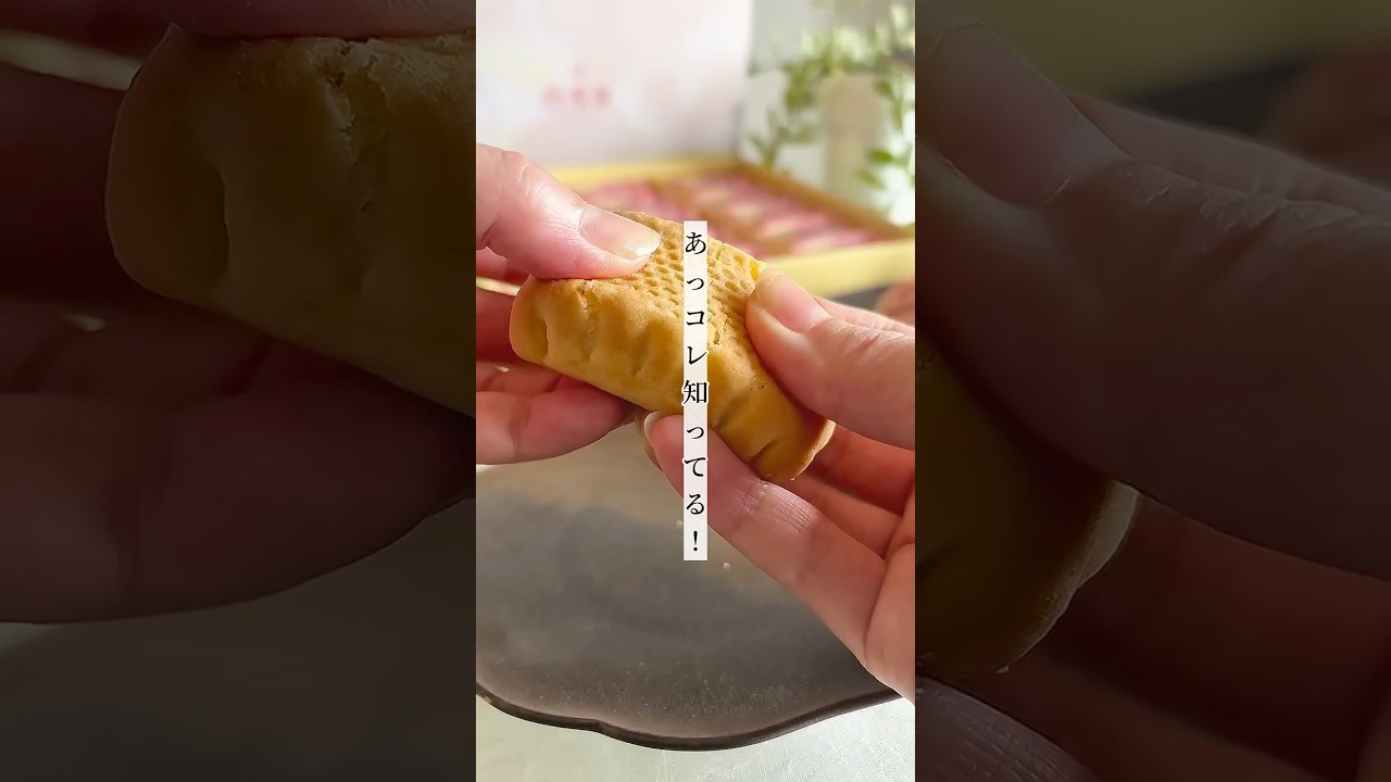 「あ、コレ知ってる！」「子どもの頃から好き」って人も多いかも🤭 #ふるさと納税 #お菓子 #愛媛スイーツ