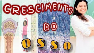 Crescimento do Osso em COMPRIMENTO