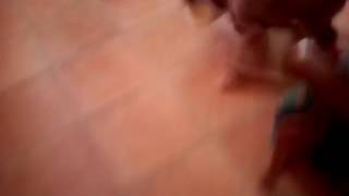 Marcel apporte un cadeau à Shadow