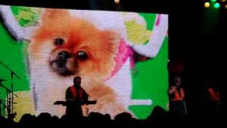 DEVO Live in Dallas, Texas March 18, 2009