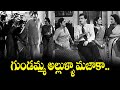 గుండమ్మ అల్లుళ్లు మజాకానా Gundamma Katha NTR ANR Savit
