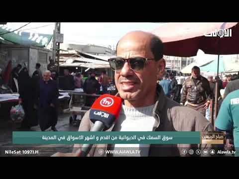 فيديو | سوق السمك في الديوانية من اقدم واشهر الاسواق في المدينة