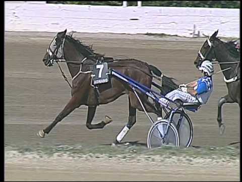 Trotto 27/09/2015 - 3° corsa