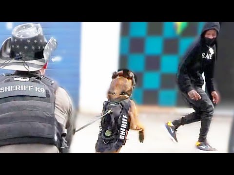 Kobus ist bereit zu ESSEN!