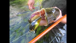 Воблер lucky craft clutch mr 270 ms american shad