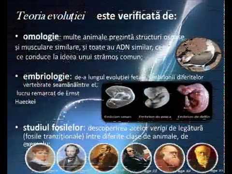 Îndraznește să gândești.wmv