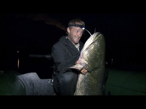 České Rybí legendy Jakuba Vágnera 2021- Sumec velký Vranov/Pískovny u Pardubic.