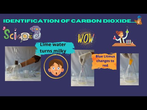 Carbon dioxide gas - Preparation and Identification