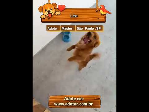 Vídeo de Léo 