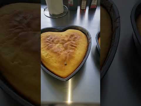 #gatoayisyen #kijanpoufègatoayisyen #gato #gatoayisien #kizinayisyen #resètayisyen #gatoalavanille