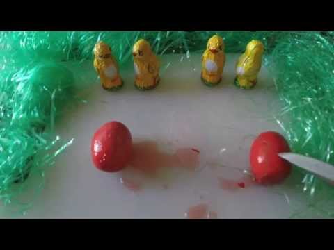 Big John's pickled egg horror