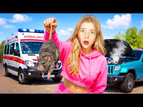 ⚠️ S-a STRICAT MAȘINA 🚙 Șobolani în HOTEL 🏨