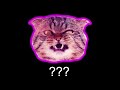 Angry Cat Sound Variations In 30 Seconds