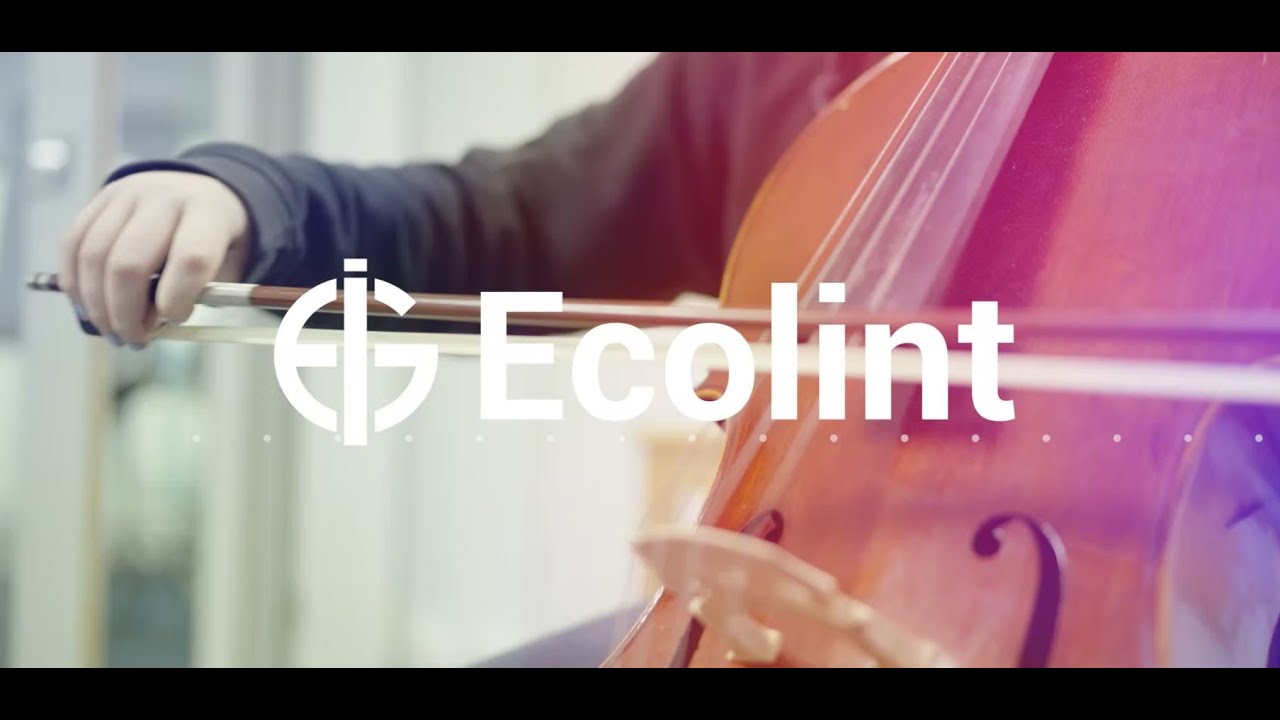 Discover our Extra-Curricular Activities programme