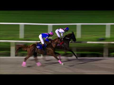 210213 c10 SSULEIMAN