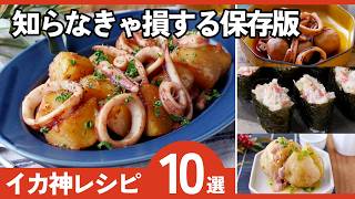 イカが主役の簡単レシピ10選｜おつまみ・おかずに使える人気アレンジ
