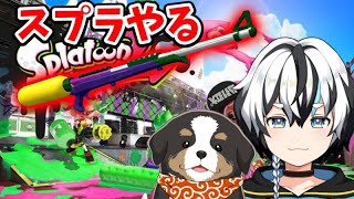 【スプラ２】すぷらやる(視聴者・活動者参加おｋ)【雪円たろ/やづけん】