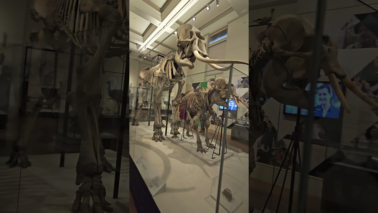 YouTube Short thumbnail