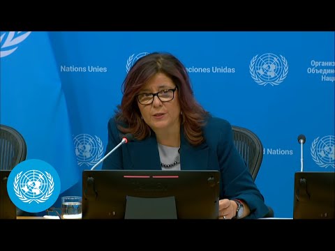Russia: 'Repression, Fear, and Digital Censorships'- UN Rapporteur Press Conference | United Nations
