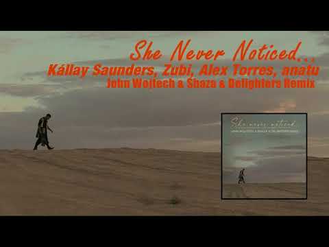 Kállay Saunders,Zubi,Alex Torres,anatu - She Never Noticed (John Wojtech & Shaza & Delighters Remix)