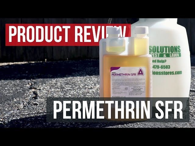 Videouttalande av permethrin Engelska