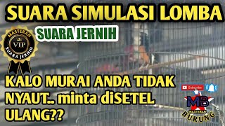 Download lagu Simulasi lomba murai batu , simulasi GANTANGAN LOMBA MURAI BATU non teriak jernih rumped shama mp3