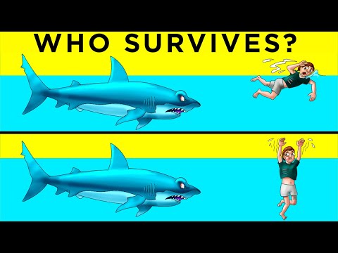 Animal Attack Riddles That Could Save Your Life