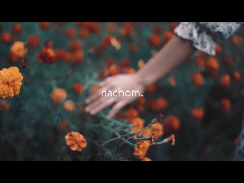 kryptonzero. - nachom (ft. Lenin Ningthouja)