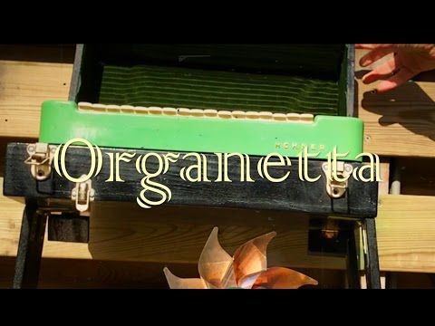 Organetta (original song)