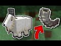 Everything About Goats And Goat Horn Farms In Minecraft 1 19
