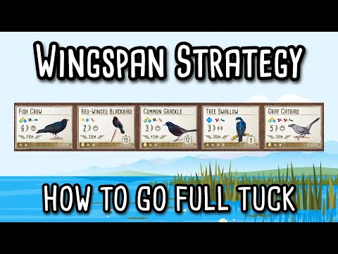 Wingspan Strategy | How to go Full Tuck!
