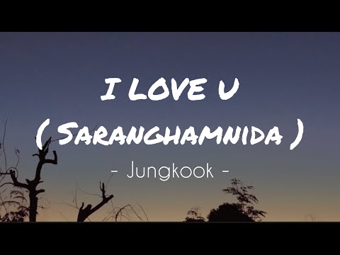 I LOVE YOU - Jungkook ( Lyric )