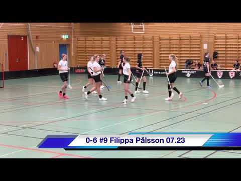Highlights Pantamera Flickor B F 06 Malmhaug IBF - Åstorp/Kvidinge IBS 0-10