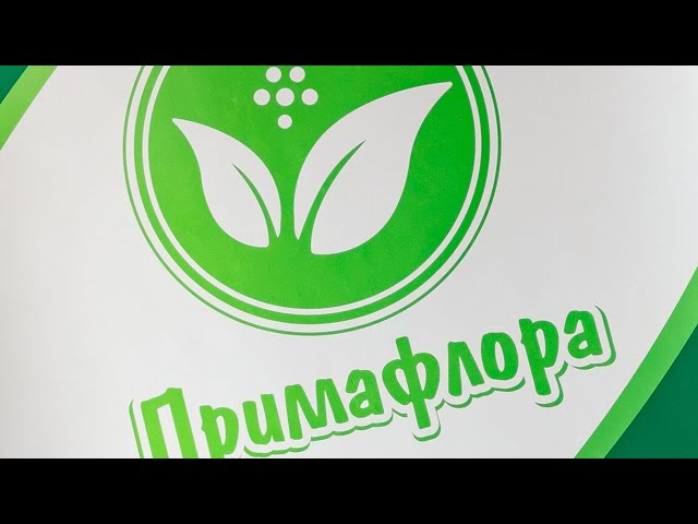 Це компанія моєї мрії