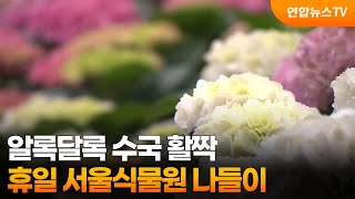알록달록 수국 활짝…휴일 서울식물원 나들이 / 연합뉴스TV (YonhapnewsTV)