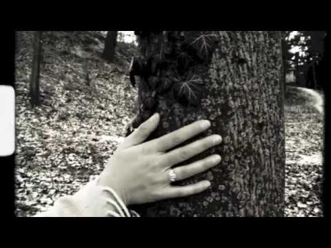 download lagu mp3 mp4 Faerie Tree, download mp3 Faerie Tree free download, download mp3 Faerie Tree