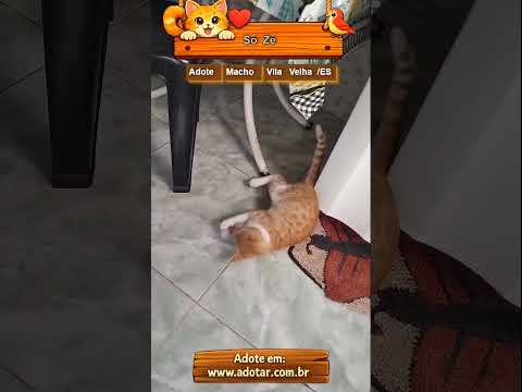 Vídeo de Sô Zé