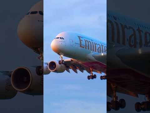 Emirates😍#aeroplan #aviation #airplane #trendingshorts #viralvideo #aviationlovers #shorts #short