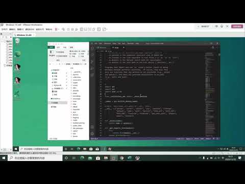 Python Embedded Program Local Arbitrary Python Script Execution On Windowsida Pro For Example
