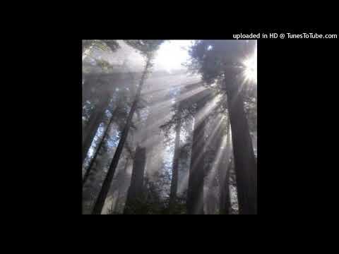 *free* midwxst + elxnce + pitfall type beat (prod nielyoung + wayza)