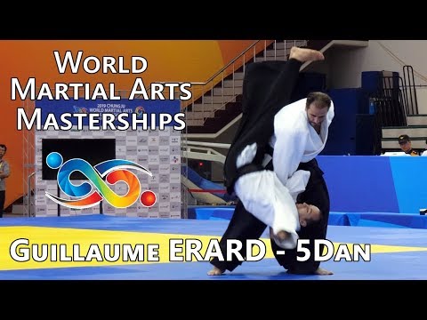 Guillaume ERARD - Aikido Experts - Chungju Martial Arts Masterships (2019)