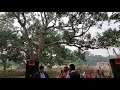 Gacher Pata Taka Keno Hoyna Function Song Bengali Baul Song Dance Song