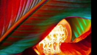 David Behrman - On The Other Ocean (Late Night Tales: Belle & Sebastian Vol. II)