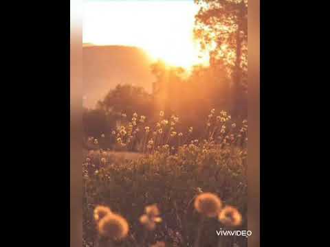 Don't know why - Norah Jones (cover - Slavica Marijan)