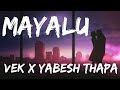 Mayalu - Vek & Yabesh Thapa (Lyric Video) Class X Presentation
