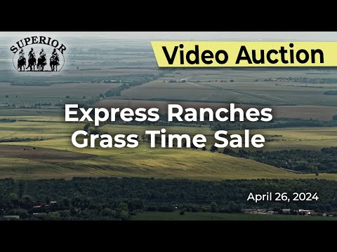 Express Ranches Grass Time Sale