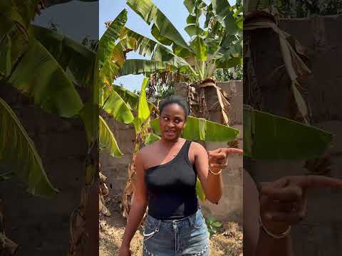 Cryy of an old mother saved her