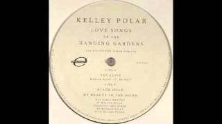 Kelley Polar - Black Hole [Environ, 2005]